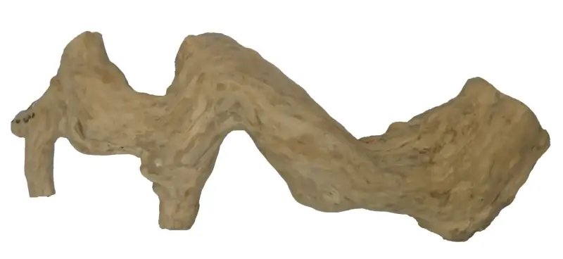 Product image 3 of the product “Teak Decko Coffee, with sizes in S, M, and L. Made from teak root (Plantation) ”